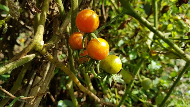 20190809_095352.jpg