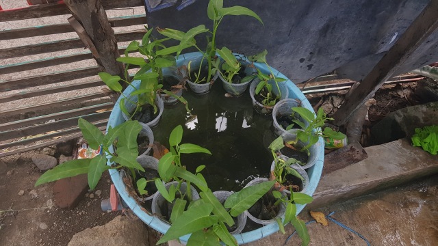 20190809_155548.jpg