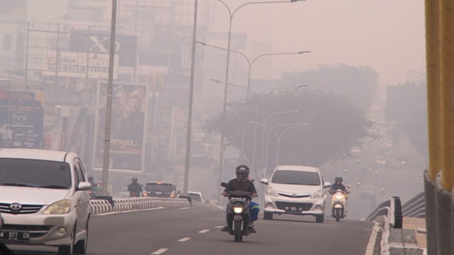 Pekatnya Kabut Asap di Pekanbaru1.jpg