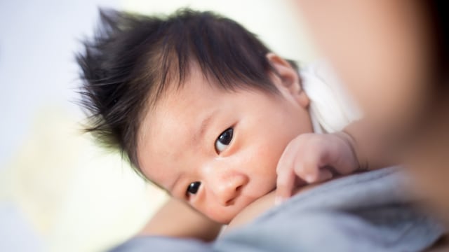 menyusui bayi Foto: Shutterstock