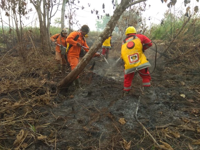 Petugas berupaya memadamkan api yang terjadi di Penjernang, Kecamatan Sungai Tebelian, Kabupaten Sintang, Kalbar. Foto: Dok Manggala Agni Sintang