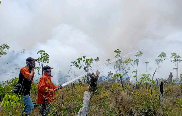 Satgas karhutla saat memadamkan kobaran api di Sumsel (Foto: istimewa)