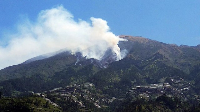 Kebakaran di Lereng Gunung Merbabu. Foto: Dok. Balai TN Gunung Merbabu