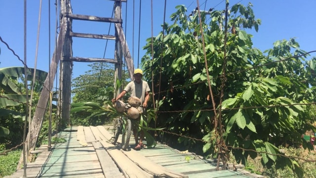 Seorang petani melintas di atas jembatan, Foto: Riza Salman.