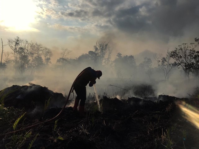 Satgas Karhutla Kobar menyemprot ke dalam tanah gambut yang terbakar. (Foto: Ario Tanoto)