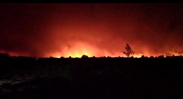 Kebakaran hutan dan lahan di KM 13, Jalan Pangkalan Bun-Kotawaringin Lama, Kamis malam (12/9). (Foto: Damkar Kobar)