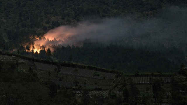 Kobaran api membakar hutan pinus di lereng bagian timur Gunung Slamet pada petak 58a, terlihat dari Desa Serang, Karang Reja, Purbalingga, Jawa Tengah, Kamis (12/9/2019). Foto: ANTARA FOTO/Idhad Zakaria