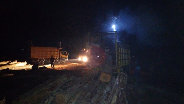 Kayu-kayu ilegal yang disita polisi hutan di Desa Bulurejo, Kecamatan Mantewe, Kabupaten Tanah Bumbu. Foto: Dishut Kalsel