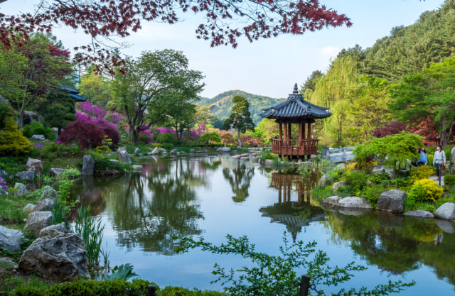 Garden of Morning Calm, Gyeonggi-do, Korea Selatan. Foto: Shutter Stock