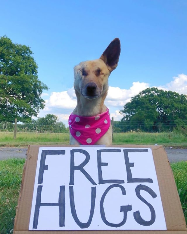maggie free hug.jpg