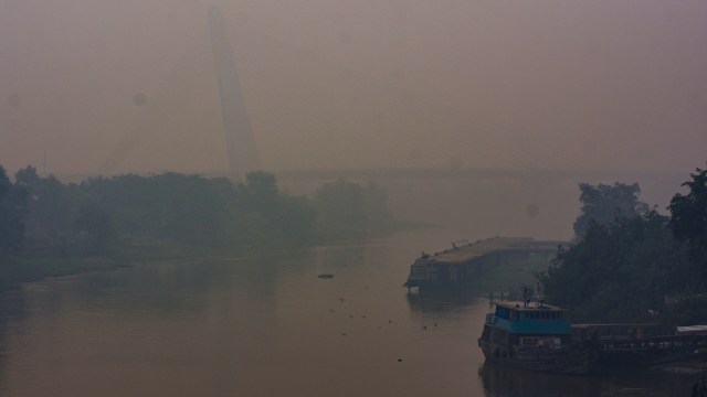 14 Posko Kesehatan Disiagakan untuk Korban Asap Karhutla di Riau (61284)