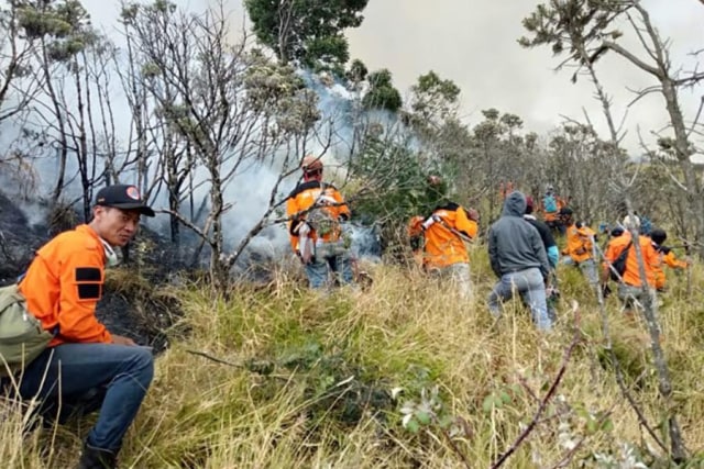 Tim gabungan memadamkan api di wilayah Pos 3 Merbabu, Boyolali. (Agung Santoso)