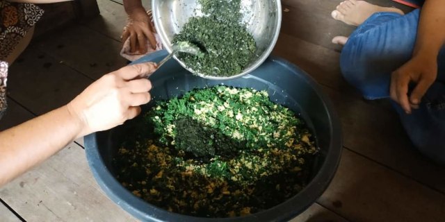 Sengkubak, Daun Spesial Berkhasiat Bagi Kesehatan (449604)