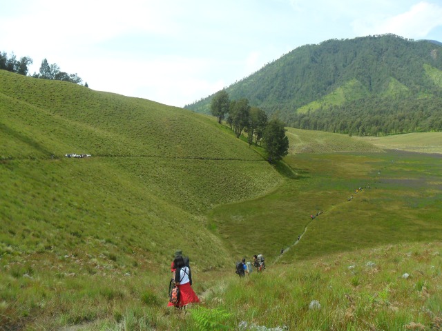 Oro-Oro Ombo, Gunung Semeru-Taman Nasional Bromo Tengger Semeru. Foto: Harley Sastha