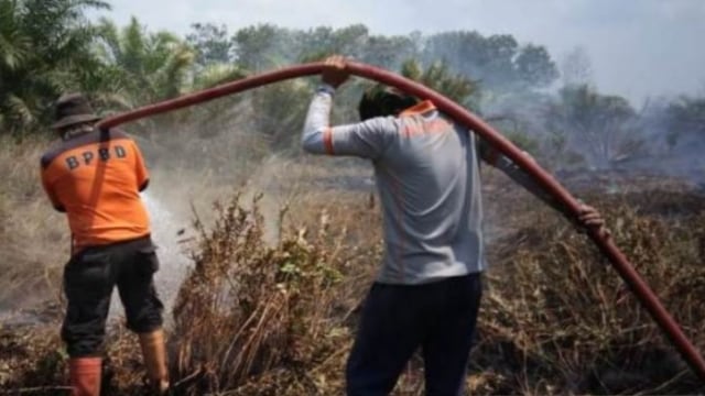KLHK dan Pemprov Kaltim Perkuat Kesatuan Pengelolaan Hutan untuk Cegah Karhutla (1242190)