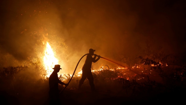 Sejumlah petugas berupaya memadamkan api yang membakar hutan di Palangka Raya, Kalimantan Tengah. Foto: Reuters/Willy Kurniawan