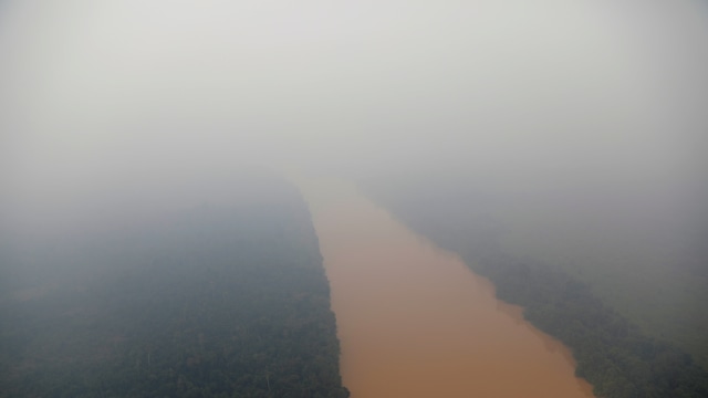 Kebakaran Hutan di Palangkaraya, Kalimantan Tengah