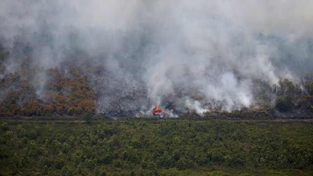 Sebuah gubuk kayu terbakar karena kebakaran hutan di Palangka Raya. Foto: Reuters/Willy Kurniawan