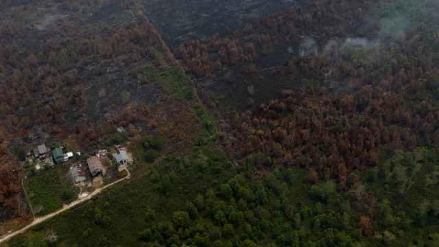 Kebakaran Hutan di Palangkaraya, Kalimantan Tengah