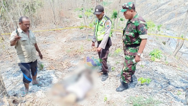 Petugas saat lakukan olah TKP, penemuan mayat Sugikono (49) warga Dusun Ngulan Desa Ngadiluwih Kecamatan Ngasem Bojonegoro, yang ditemukan meninggal dunia, di kawasan hutan Dusun Mundu Desa Nglampin Kecamatan Ngambon Bojonegoro. Minggu (15/09/2019)