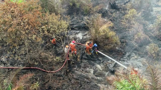 Petugas sedang memadamkan kebakaran hutan di Sumsel. (Foto: BPBD Sumsel)
