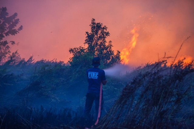 Tim Satgas Karhutla Kobar berjibaku dengan api. (Foto: Ario Tanoto)