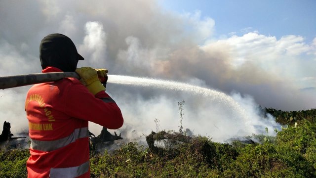 Tim Manggal Agni sedang memadamkan api kebakaran lahan gambut di Kolaka Timur, Sulawesi Tenggara. Foto: Dok Manggala Agni.