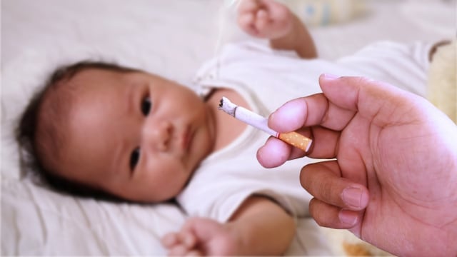bayi dan rokok