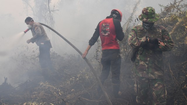 Pencegahan Pemadam Kebakaran Hutan , Kampar, Provinsi Riau