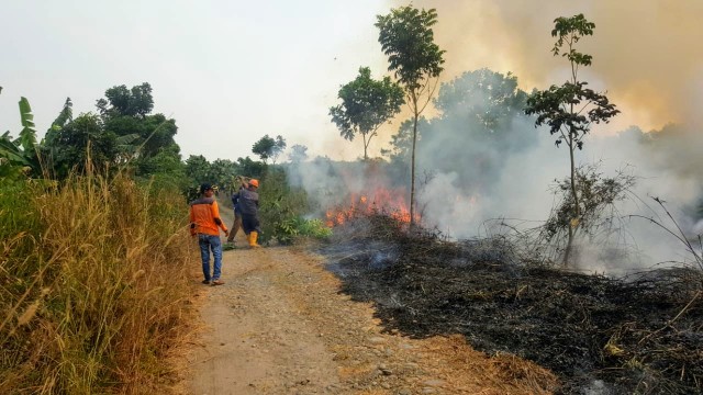 Petugas berjibaku memadamkan kebakaran hutan dan lahan di Sumsel (Foto: Dok. BPBD Sumsel)