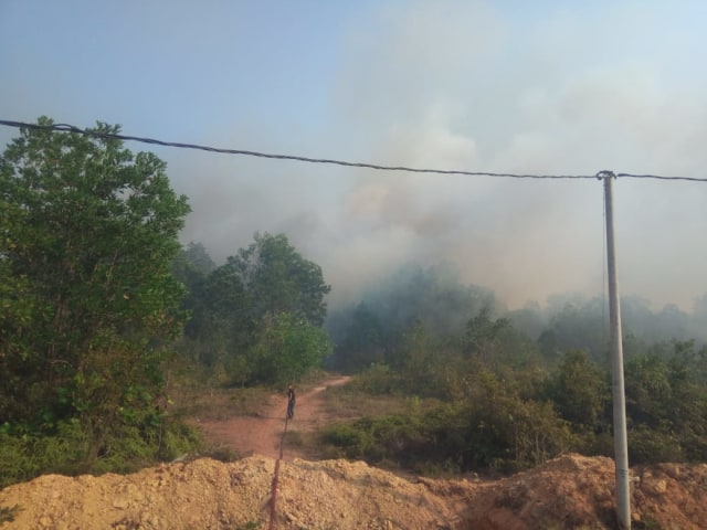 Kebakaran hutan yang terjadi di Provinsi Bangka Belitung. (Dok)