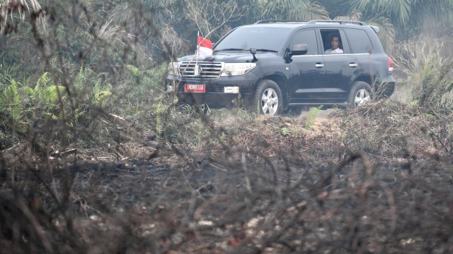 Foto: Jokowi Tinjau Pemadaman Karhutla di Riau (211079)
