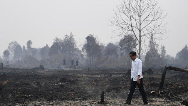 Presiden Joko Widodo meninjau penanganan kebakaran lahan di Desa Merbau, Kecamatan Bunut, Pelalawan, Riau, Selasa (17/9/2019). Foto: ANTARA FOTO/Puspa Perwitasari