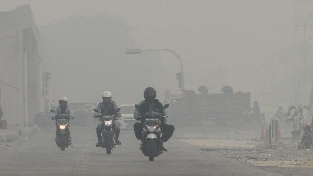 Foto: Jokowi Tinjau Pemadaman Karhutla di Riau (211071)