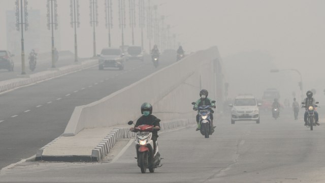 Foto: Jokowi Tinjau Pemadaman Karhutla di Riau (211072)