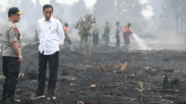 Walhi: Jokowi Ancam Copot Kapolda Tak Efektif Selesaikan Karhutla (523360)