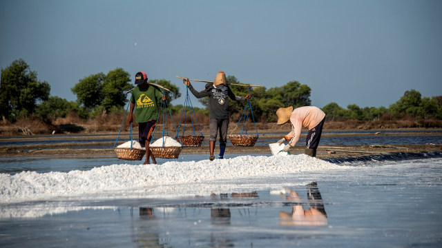 Aktivitas di tambak garam Sidoarjo. Foto: AFP/Juni Kriswanto