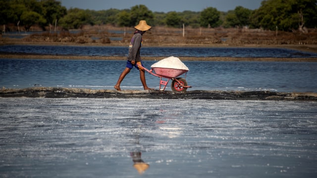 Petani garam Sidoarjo membawa garam usai panen. Foto: AFP/Juni Kriswanto