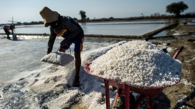 Petani garam mengangkut garam yang sudah siap panen. Foto: AFP/Juni Kriswanto