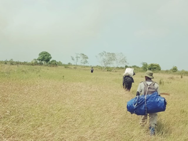 Petugas di Kawasan Taman Nasional Tanjung Puting yang terdampak Karhutla