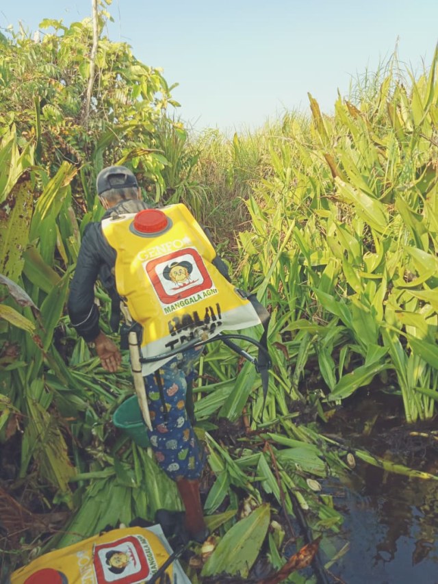 Petugas di Kawasan Taman Nasional Tanjung Puting yang terdampak Karhutla