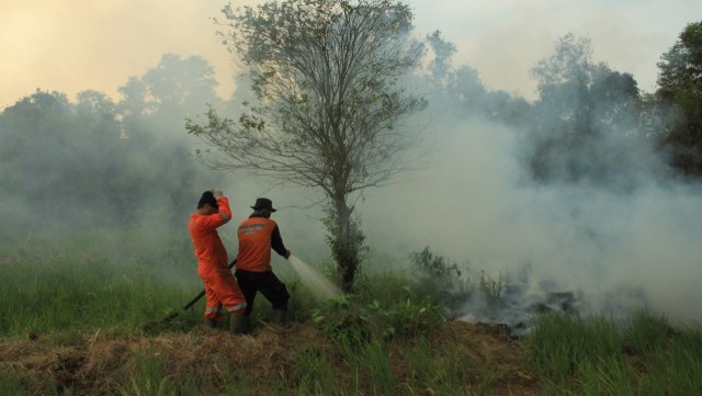 Petugas memadamkan kebakaran lahan di Banjarbaru. Foto: istimewa