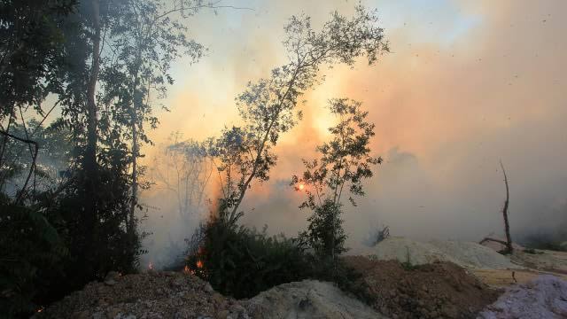 Kebakaran hutan di Jambi. Foto: ist