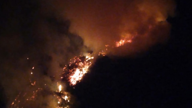 Hutan di Lereng Gunung Slamet terbakar, Selasa (17/9). (Foto: Istimewa)
