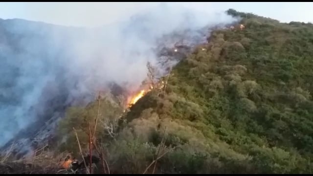 Hutan Seluas 10 Hektare di Lereng Gunung Slamet, Tegal Terbakar (1238115)