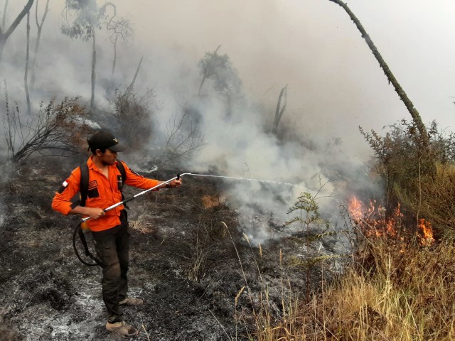 Seorang anggota tim pemadam sedang berusaha memadamkan titik api. Foto: Balai TNGMb