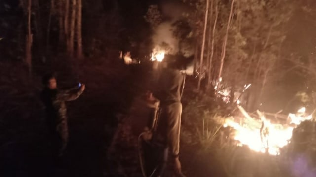Dalam Sebulan, 5 Kali Terjadi Karhutla di Sulawesi Tengah (181635)