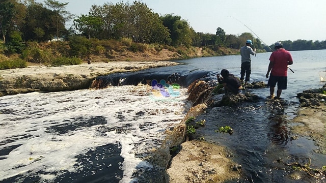 Kondisi air sungai Bengawan Solo, di wilayah Kecamatan Ngraho Kabupaten Bojonegoro, Selasa (18/09/2019) 