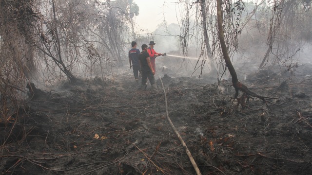 Satgas Karhutla Riau berupaya melakukan pemadaman di tengah pekatnya asap kebakaran lahan gambut di Pekanbaru, Riau, Rabu (18/9/2019). Foto: ANTARA FOTO/Rony Muharrman