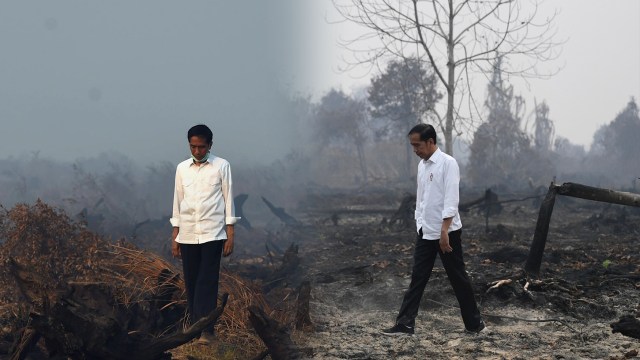 Foto kiri, Presiden Joko Widodo saat meninjau penanganan kebakaran hutan dan lahan di Kalimantan Selatan tahun 2015 dan Foto kanan, Presiden Joko Widodo saat meninjau penanganan kebakaran hutan dan lahan di Riau tahun 2019. Foto: AFP/ROMEO GACAD dan ANTARAFOTO/Puspa Perwitasari